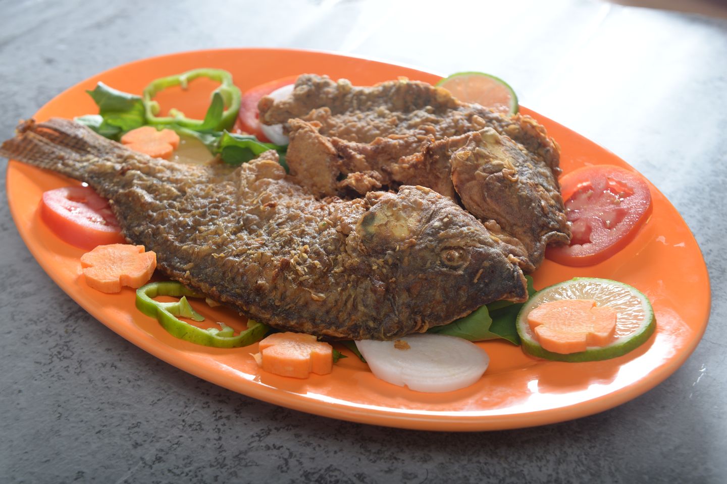 Tilapia Fish