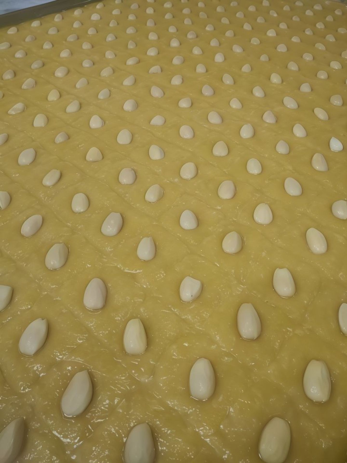 Cream Basbousa