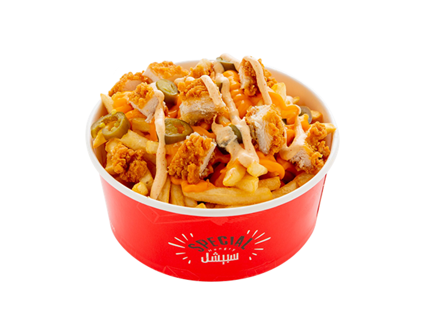 Special Chicken Fries