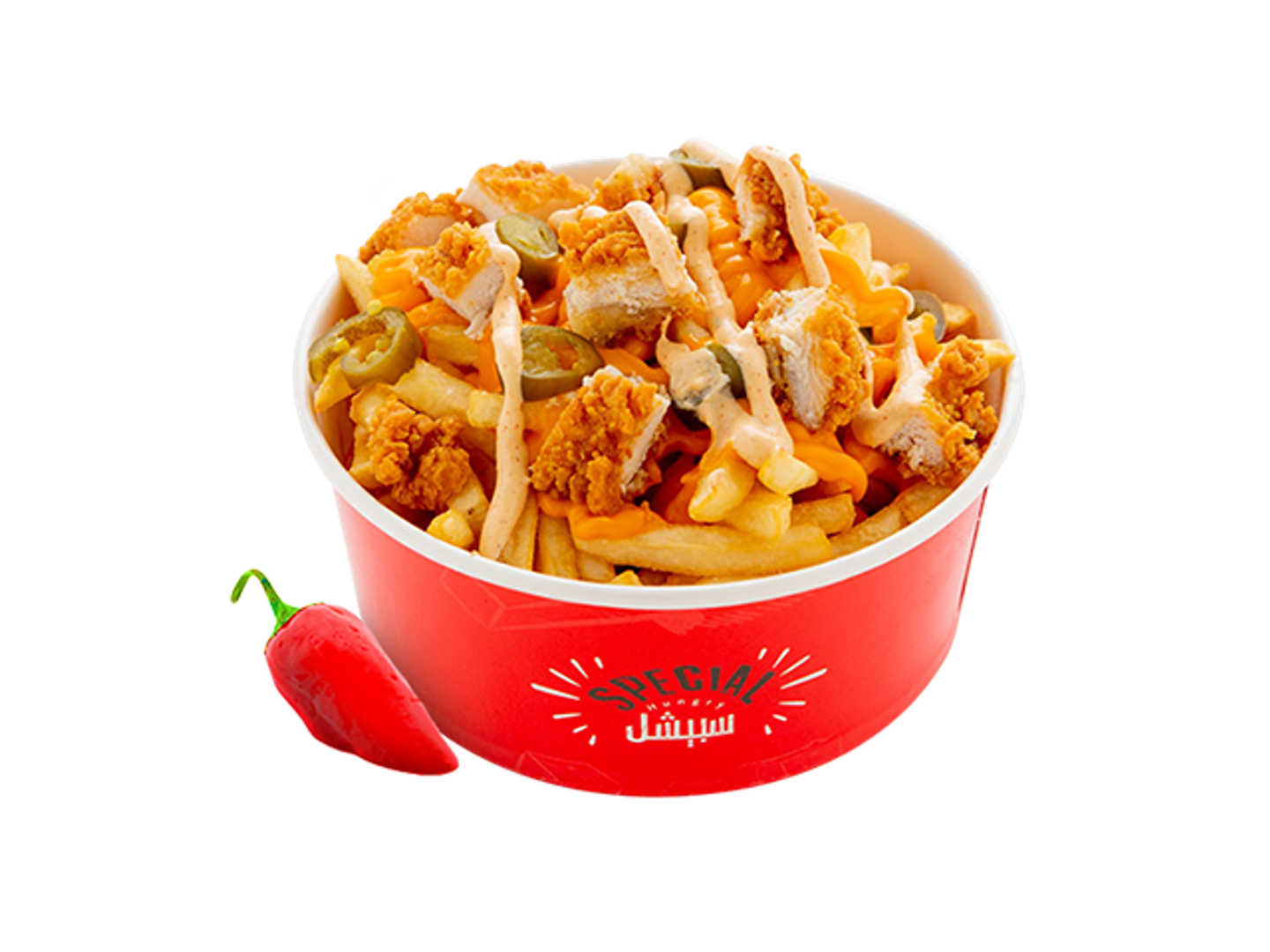 Special Spicy Chicken Fries