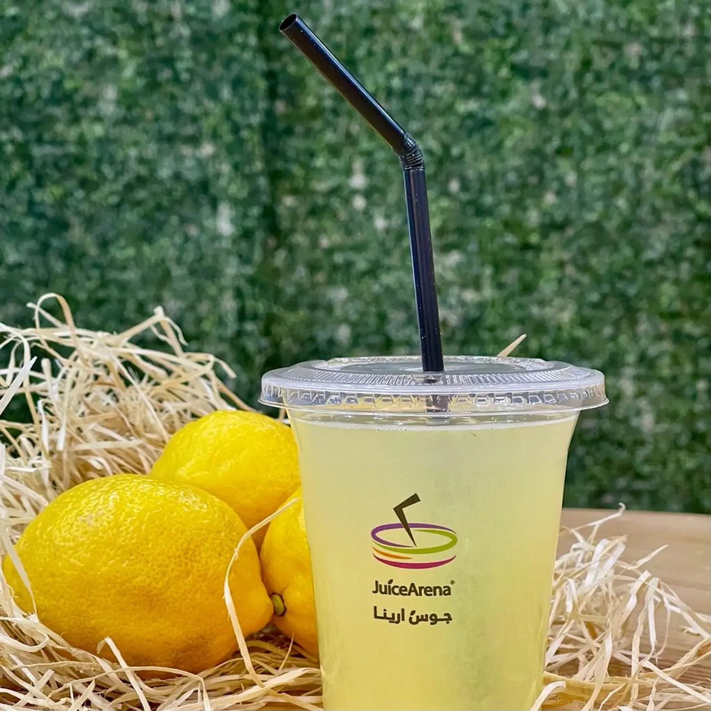 1 Liter Lemon Mint
