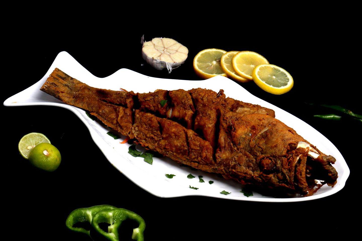 هامور عربي