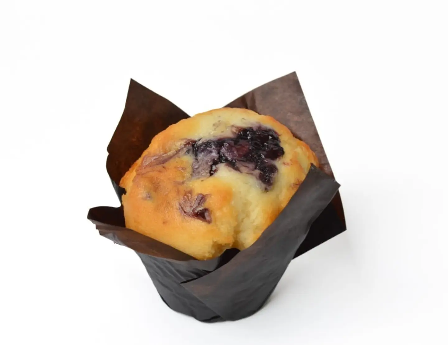 Blueberry Muffin