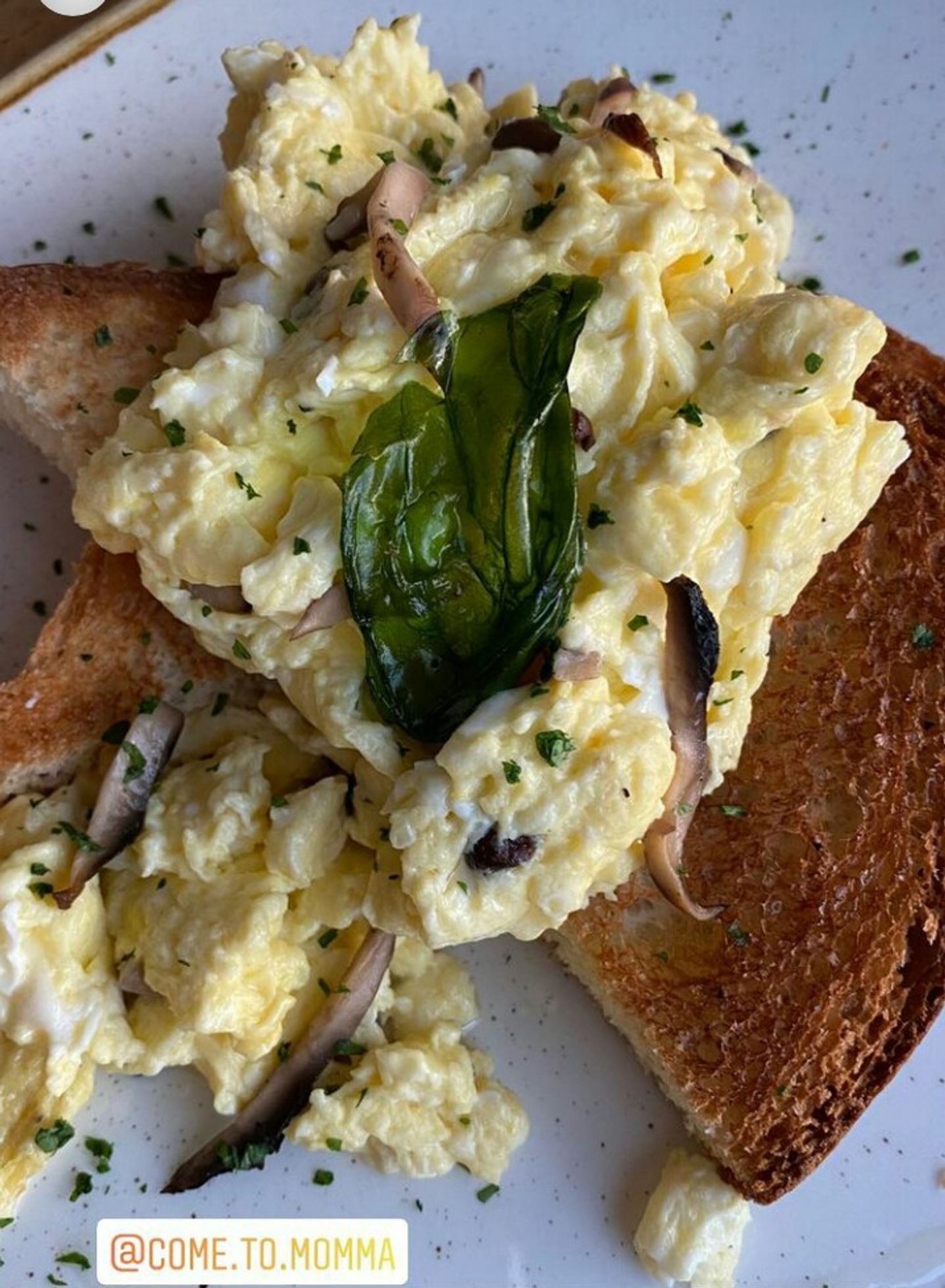 Truffled Scramble