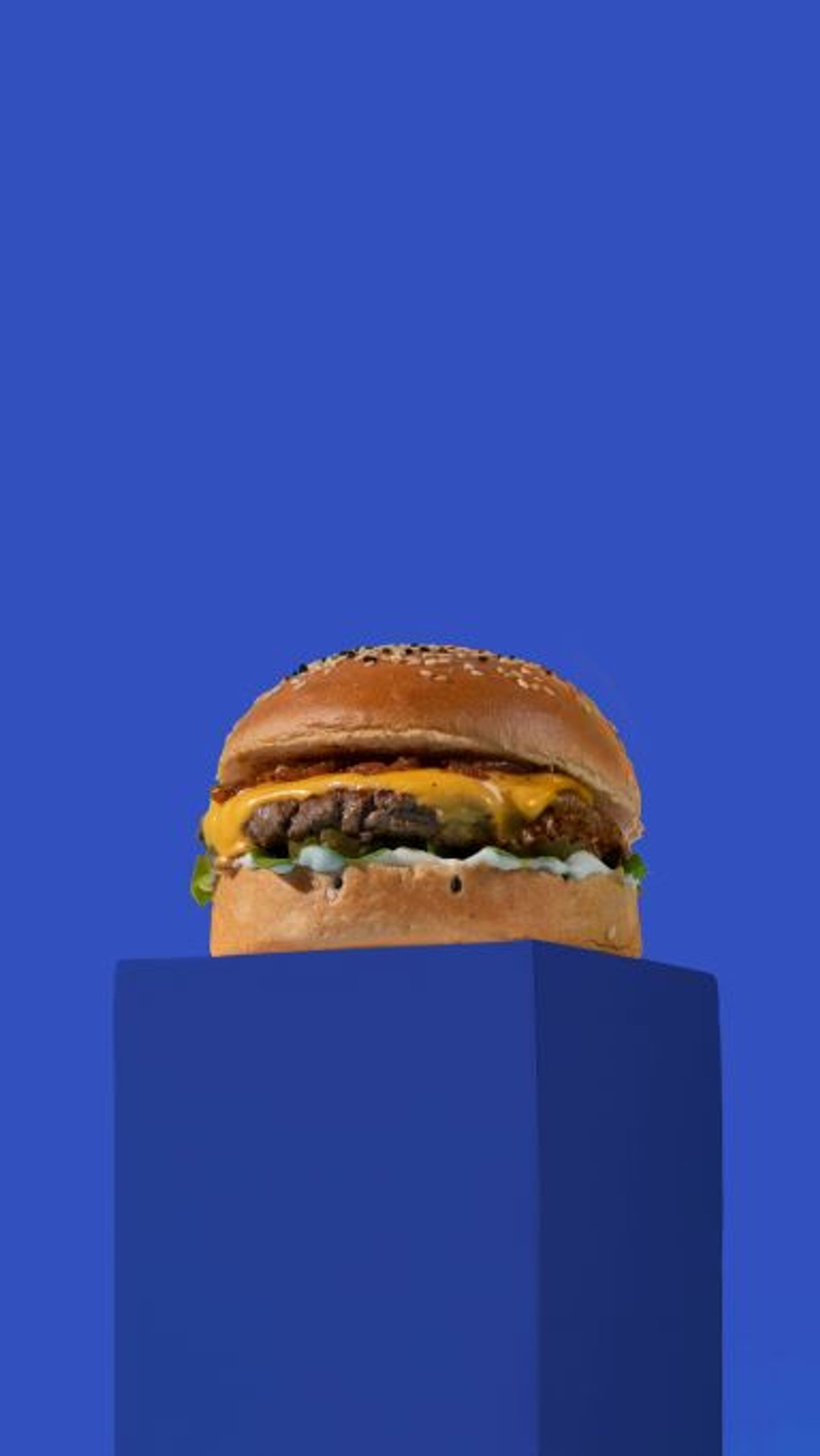 Truffle Beef Burger