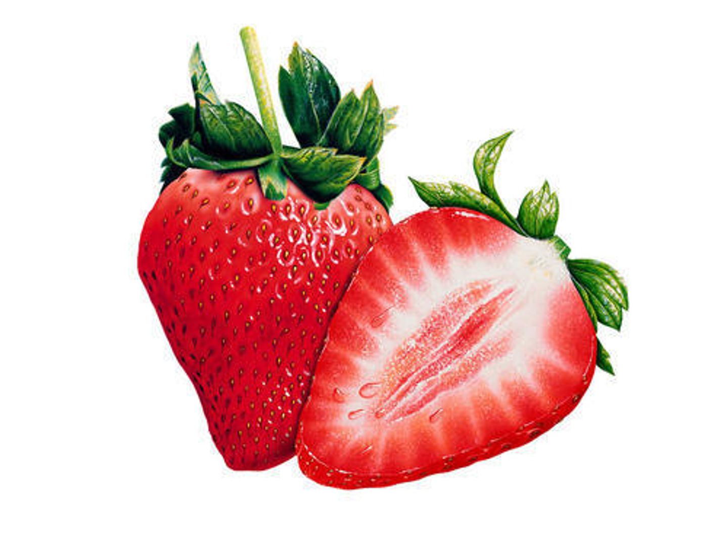 Strawberry - Medium