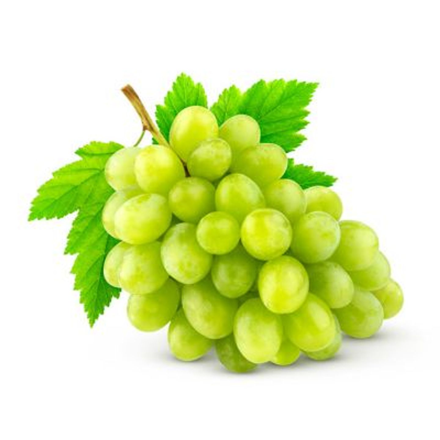 Green Grape