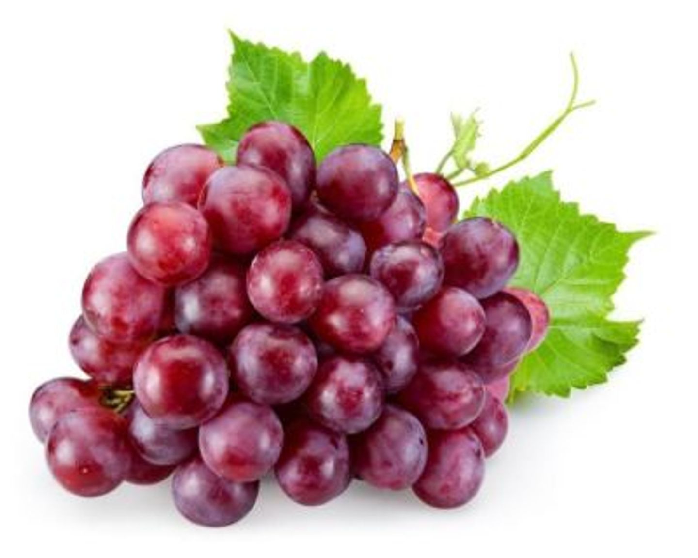 Red Grape