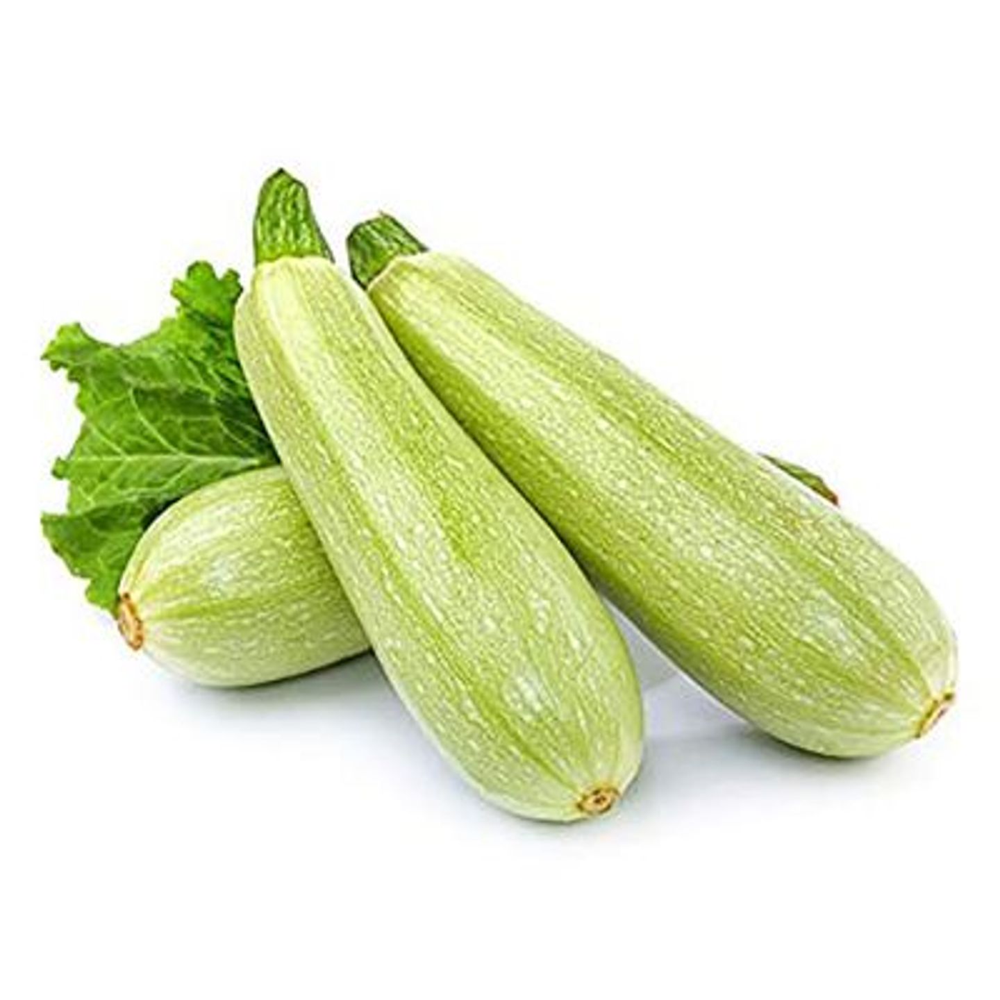 Zucchini