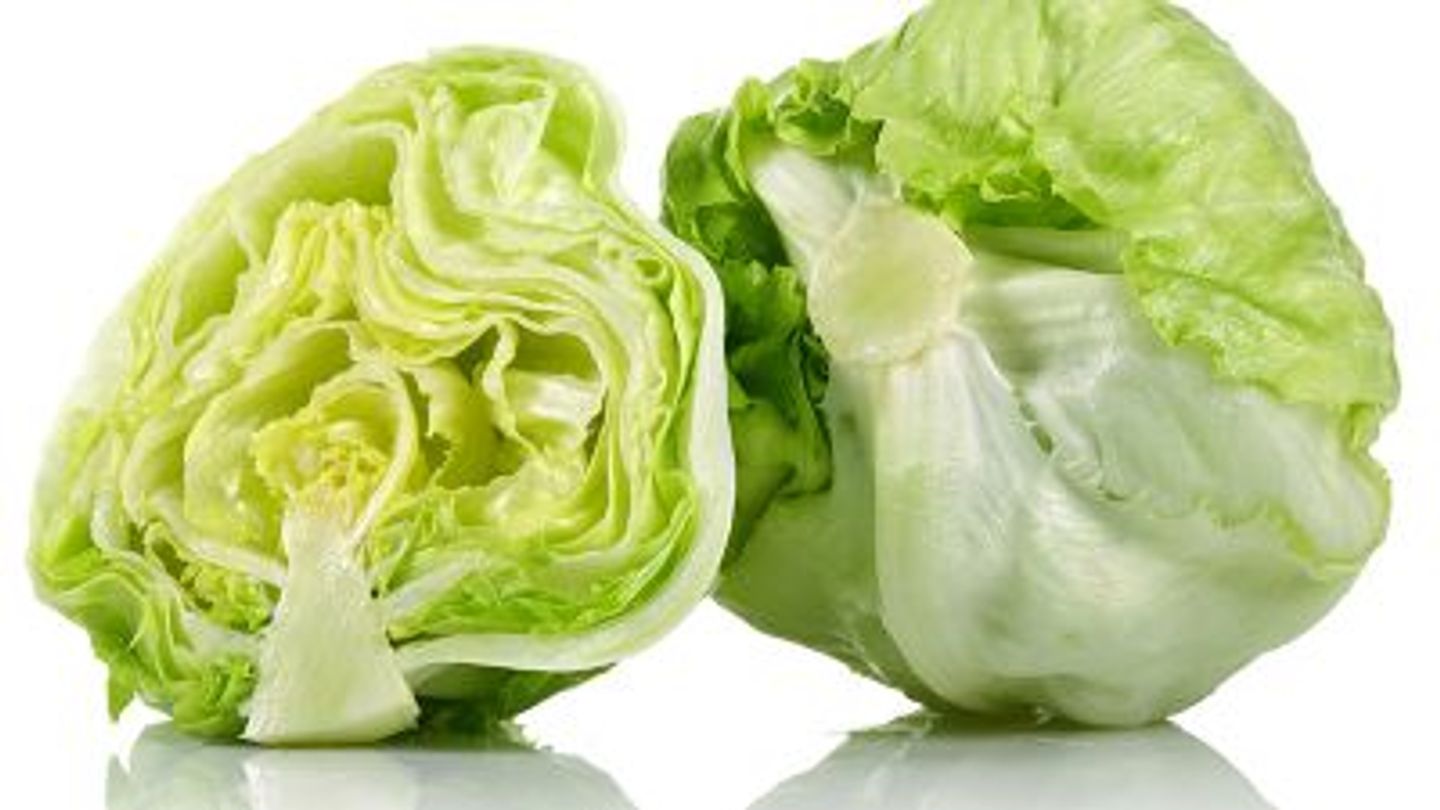 American Lettuce