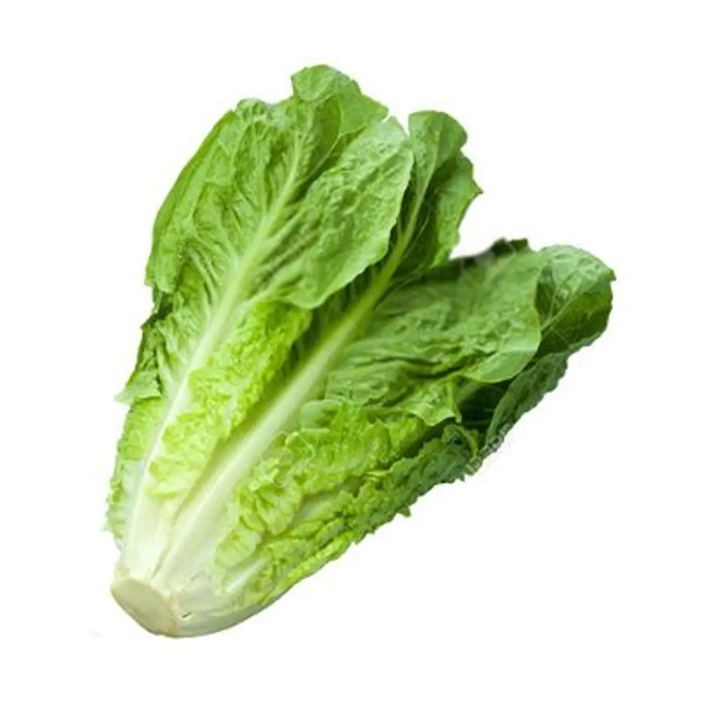 خس