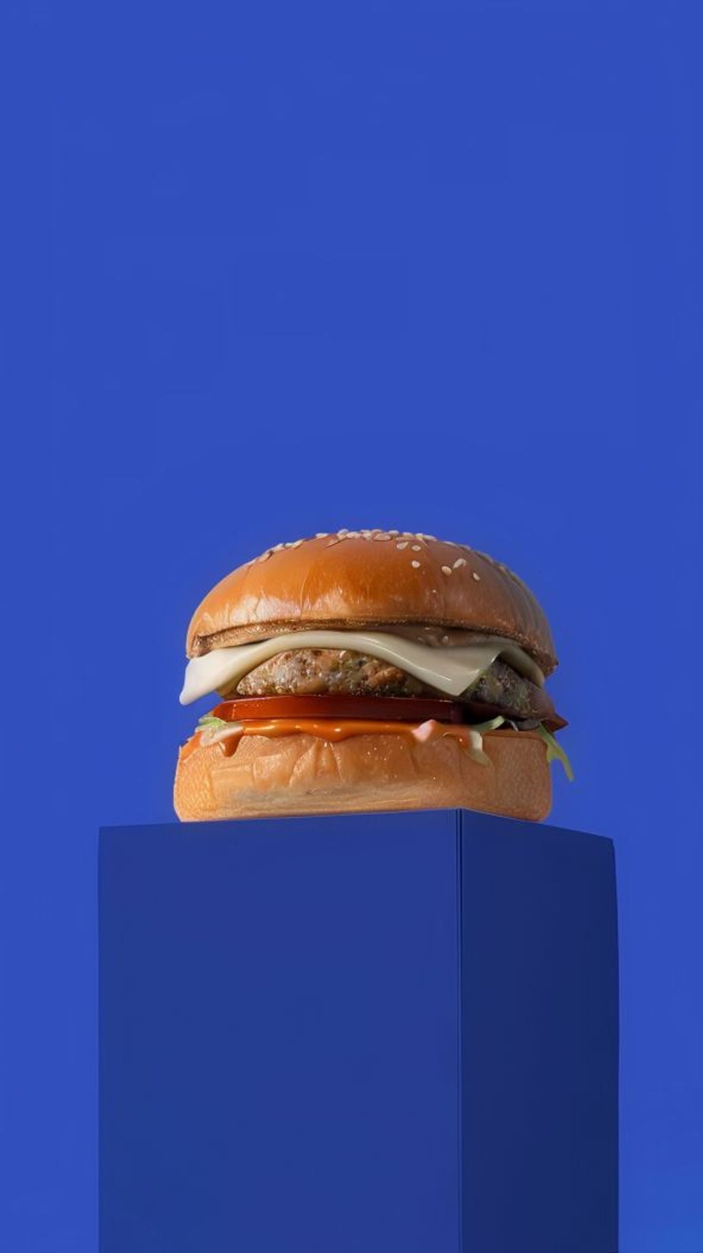 Grilled Chicken Burger