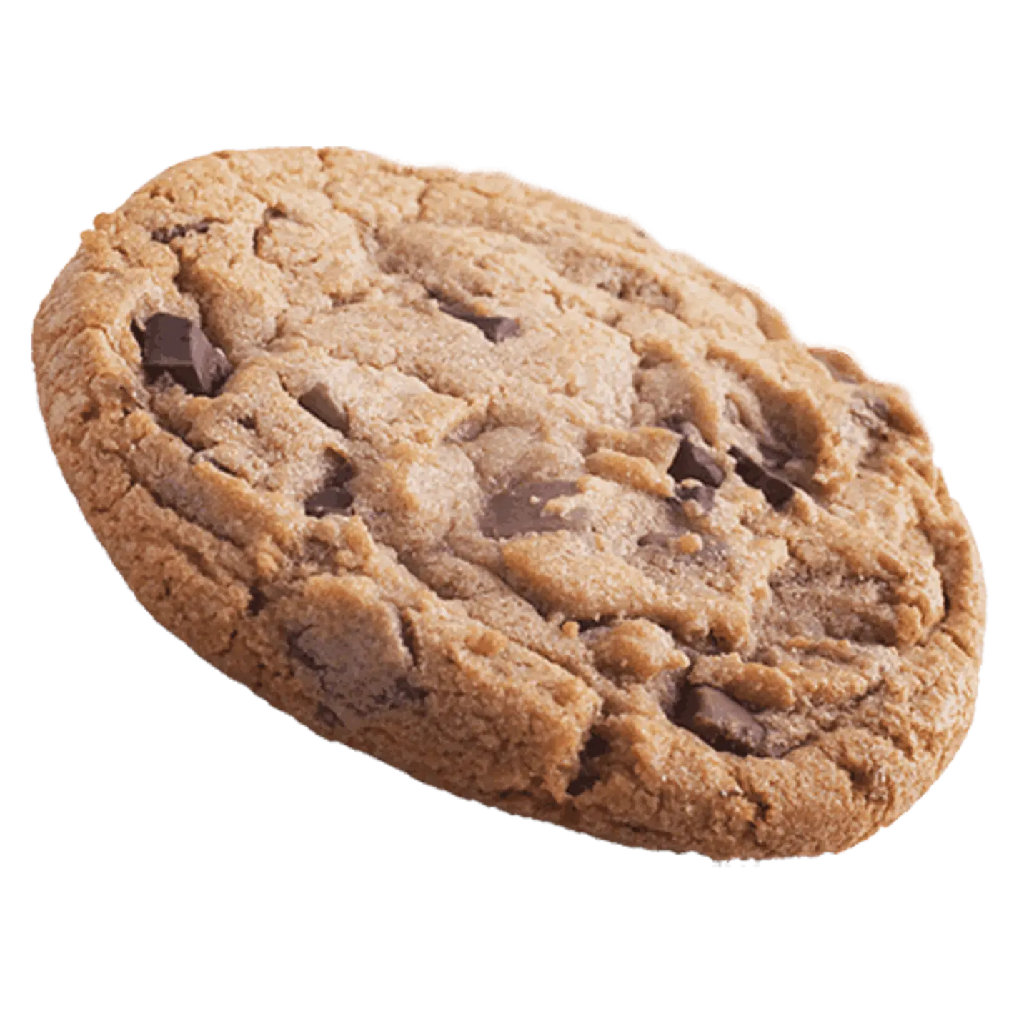 Double Chocolate Cookie