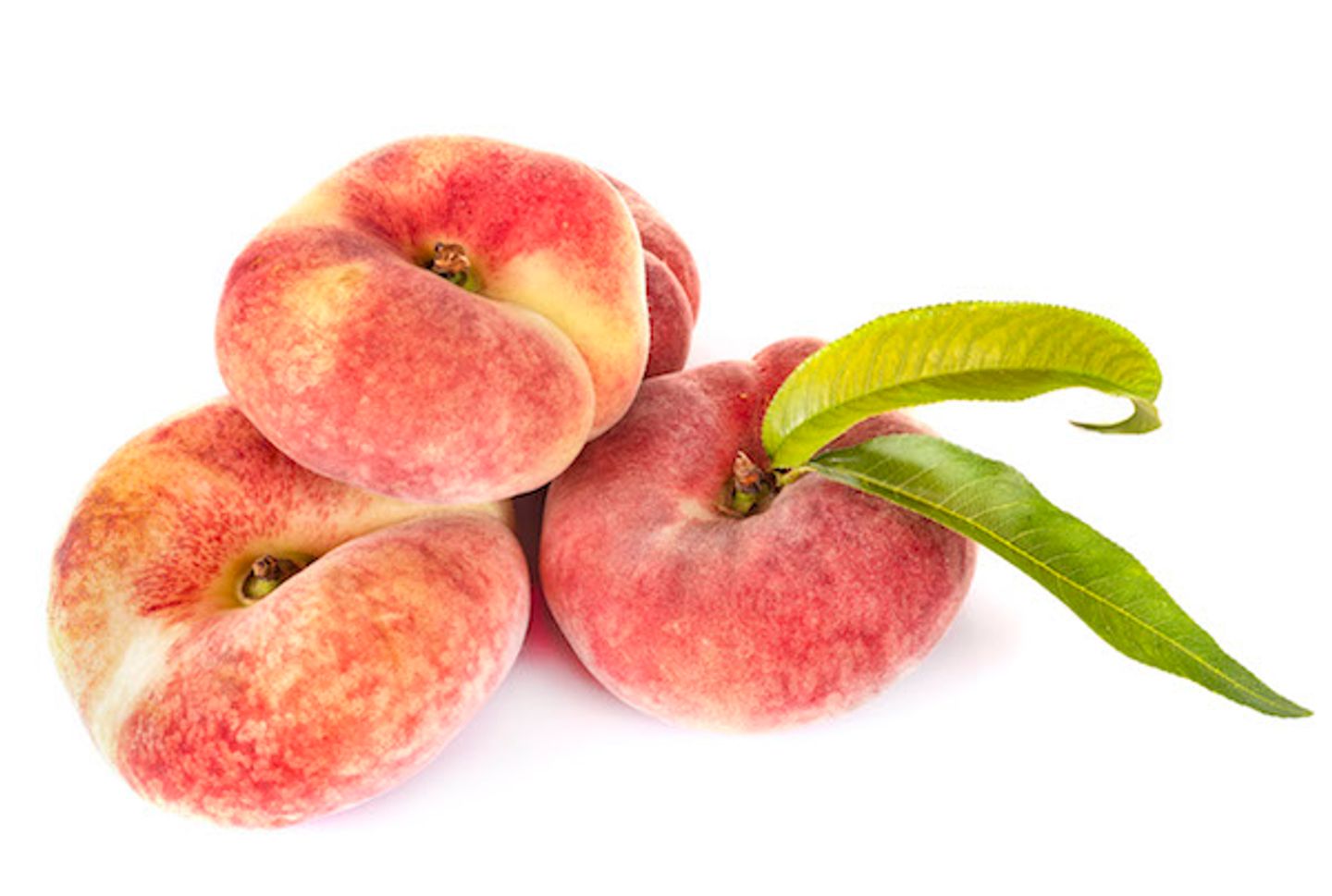 كعب غزال