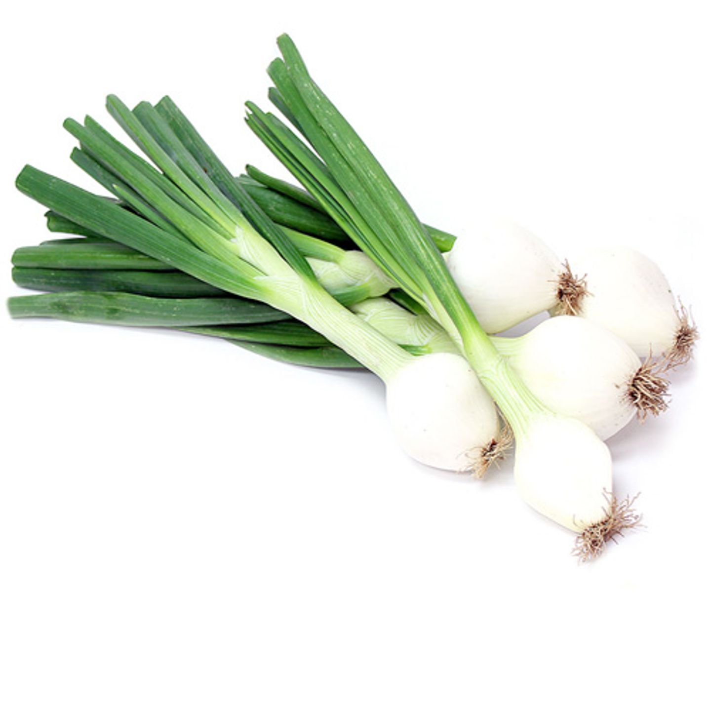بصل أخضر