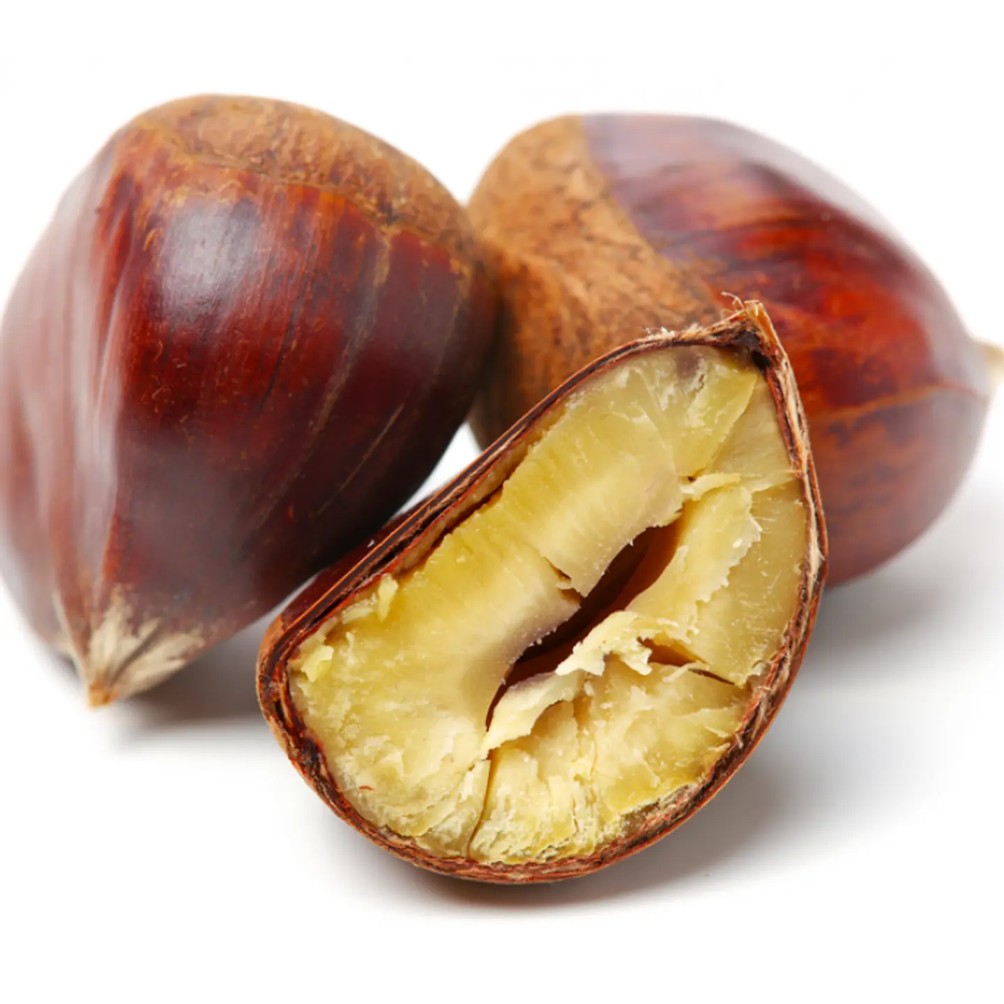 أبو فروة كستناء