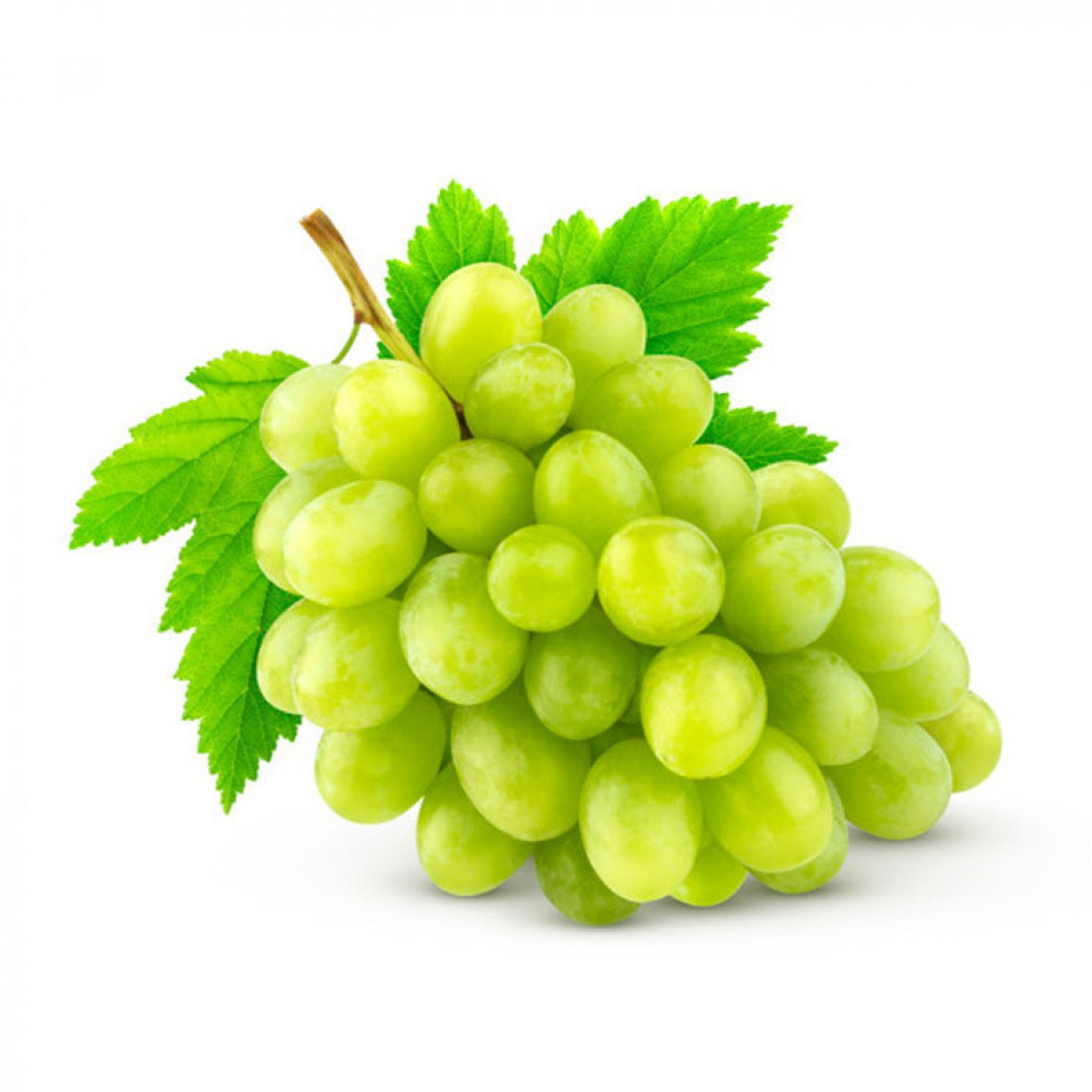 عنب أخضر