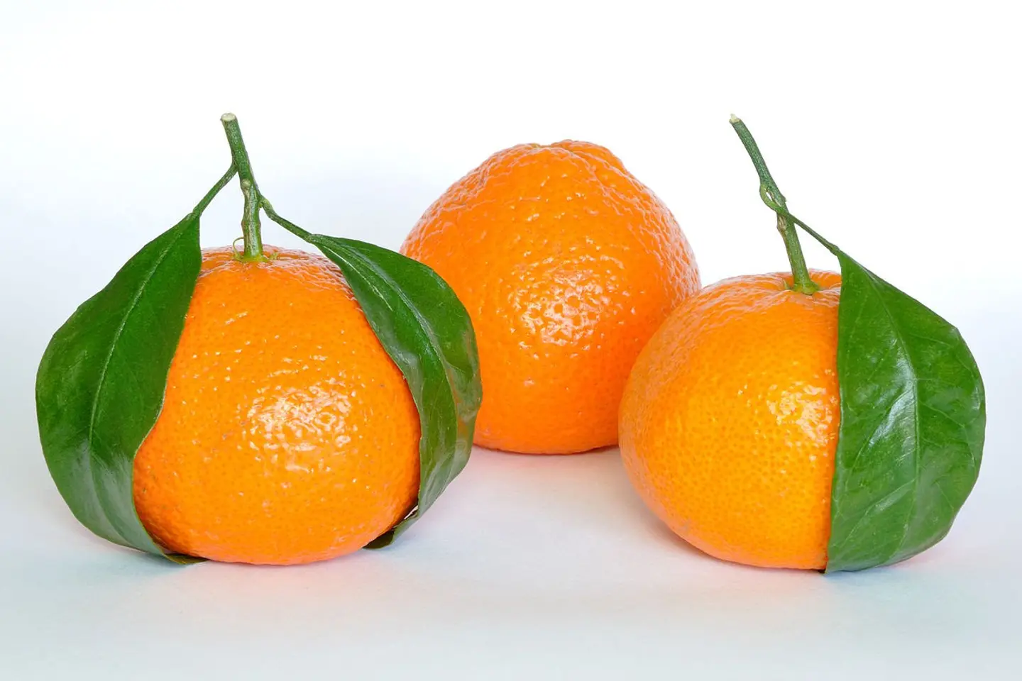 Egyptian Tangerine