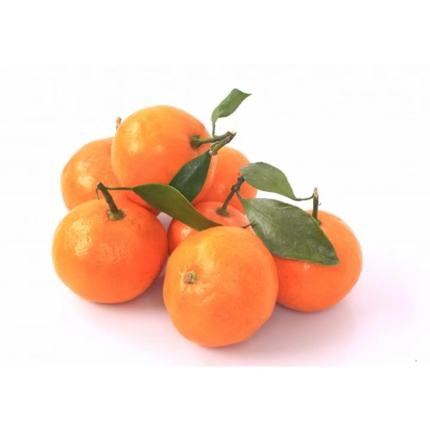 Moroccan Tangerine