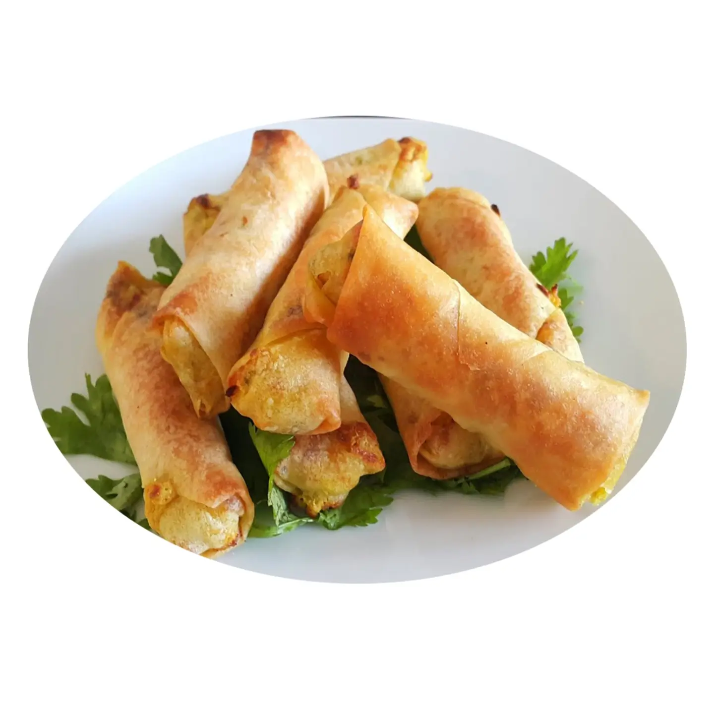 Chicken Spring Rolls