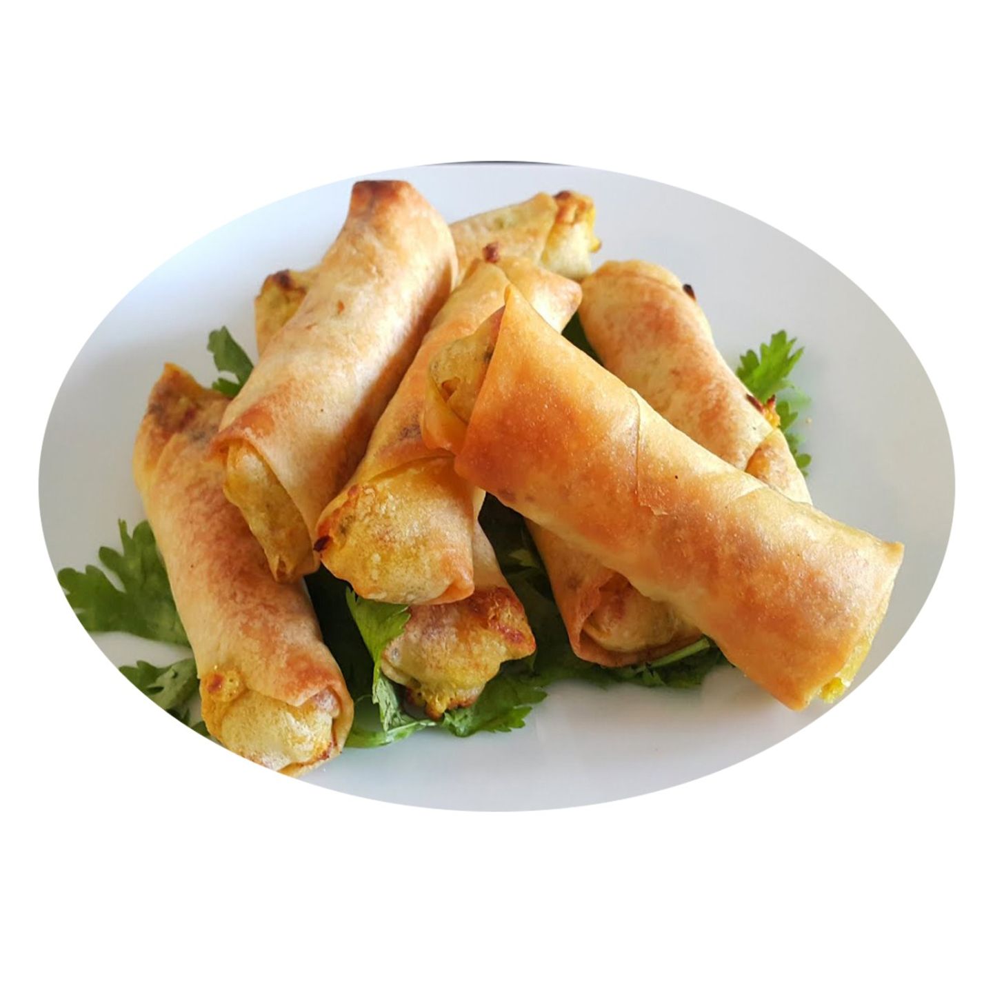 Chicken Spring Rolls