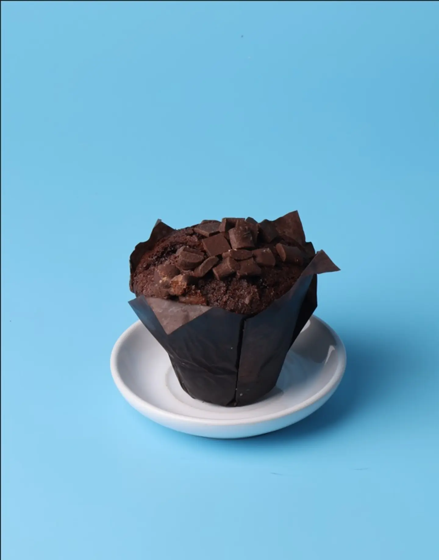 Chocolate Muffin