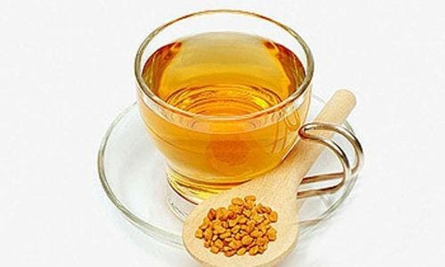 حلبة سادة
