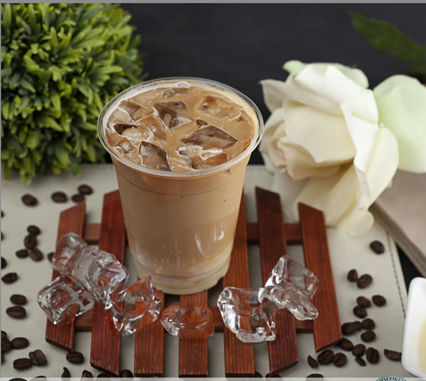سبانش لاتية