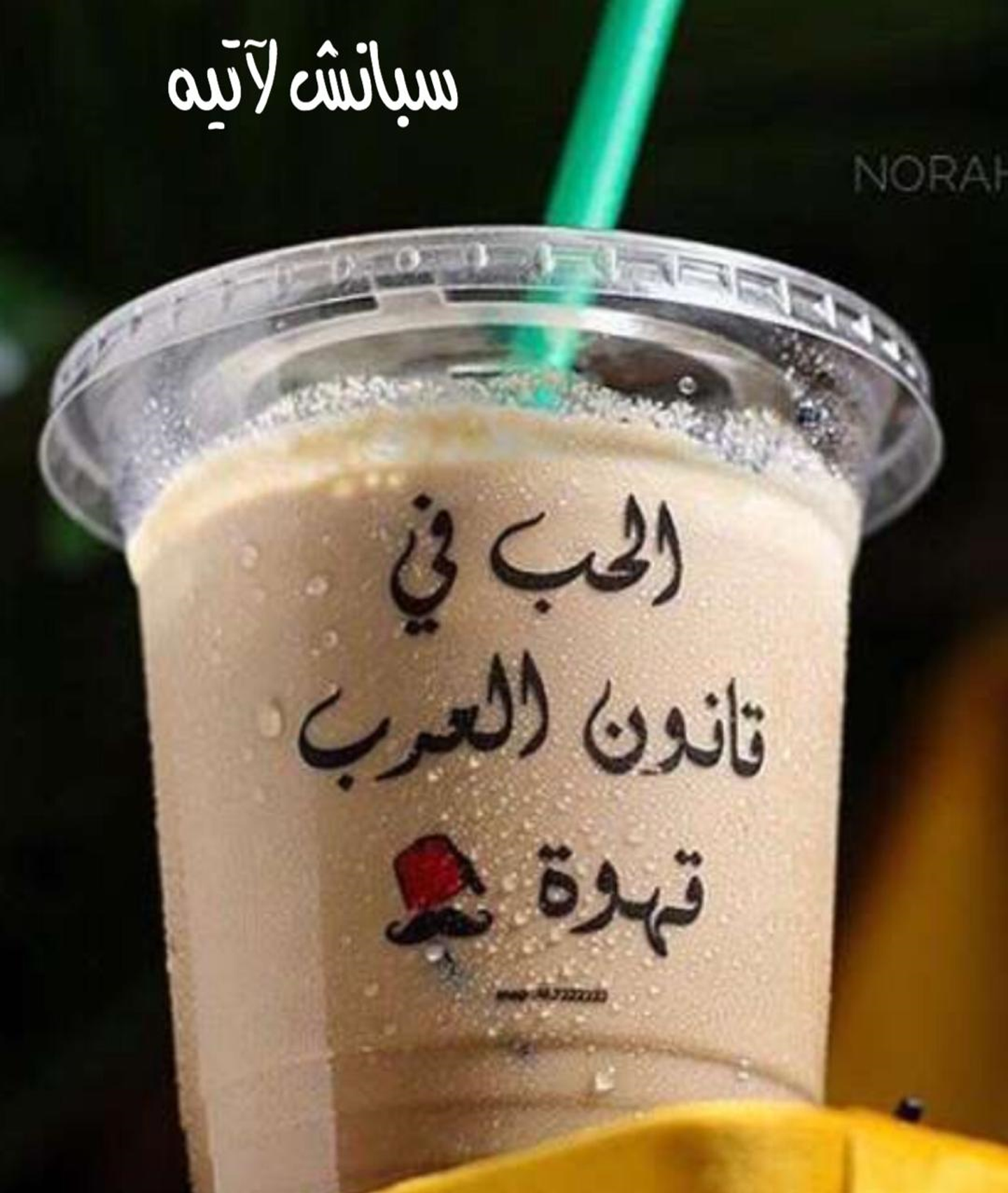 سبانش بستاشيو
