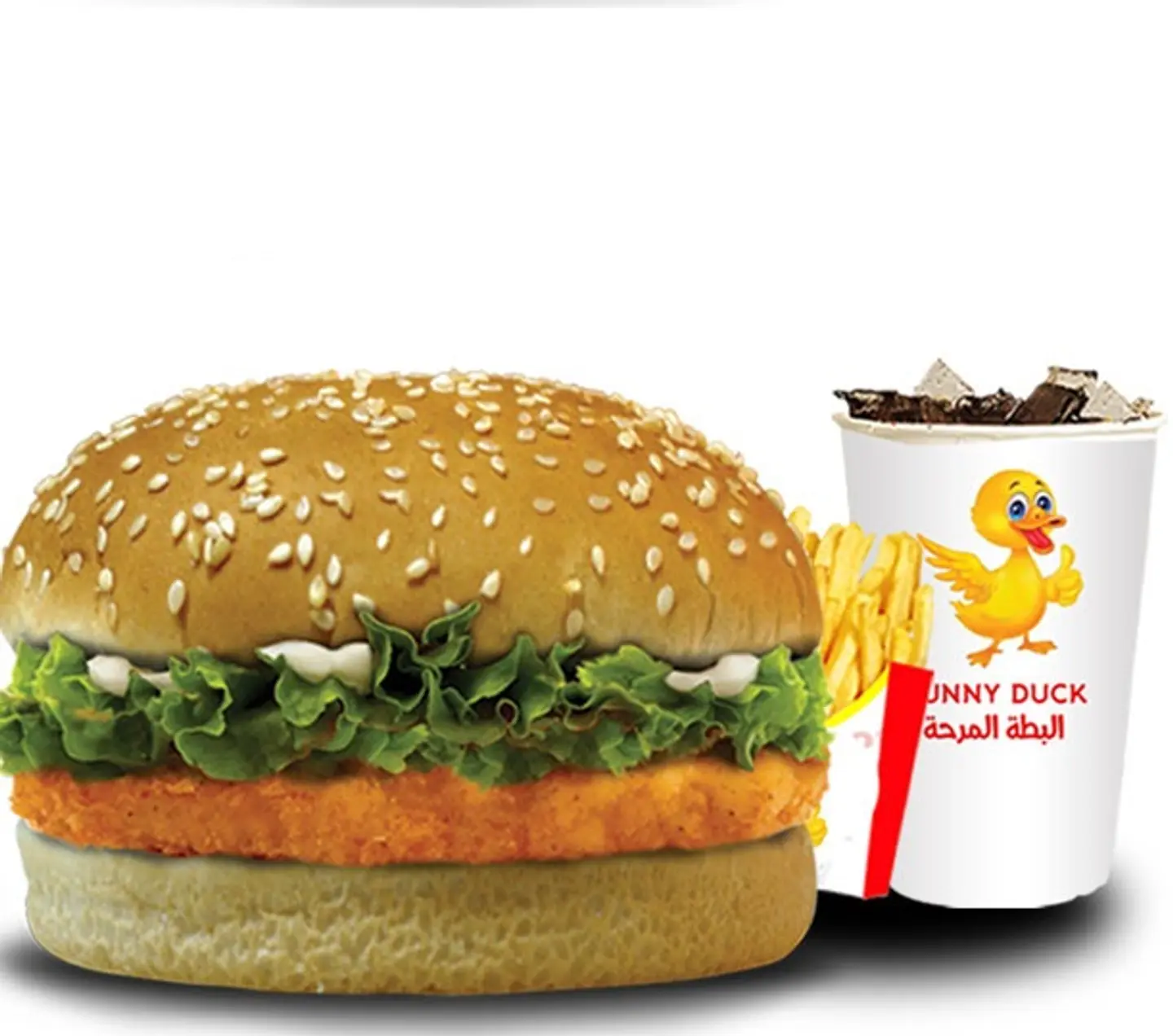 Chicken Burger Combo