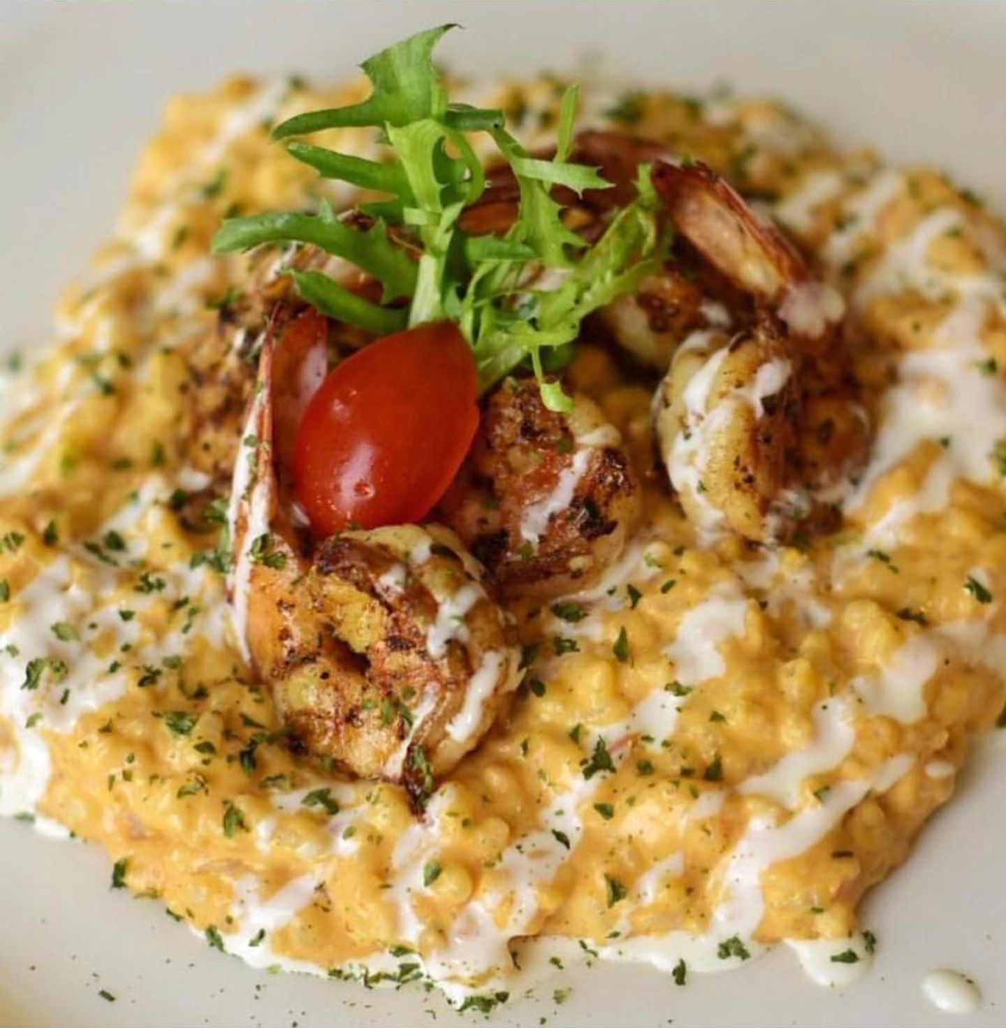Shrimp Risotto
