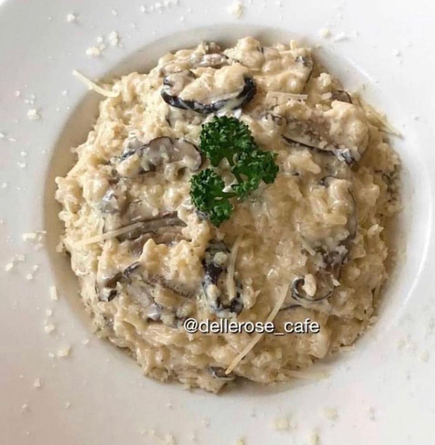 Mashroom Risotto