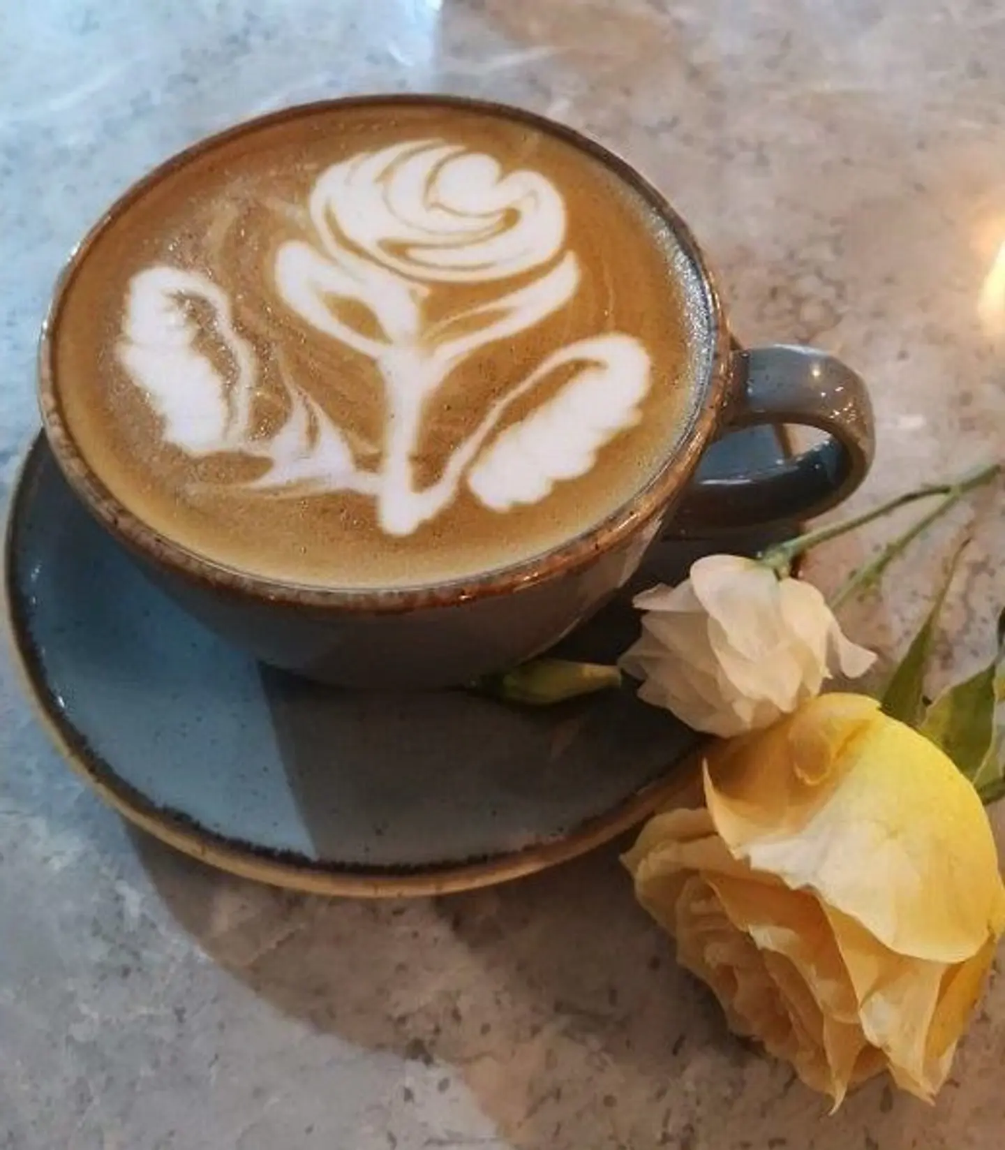 Ola Signiture Cafe