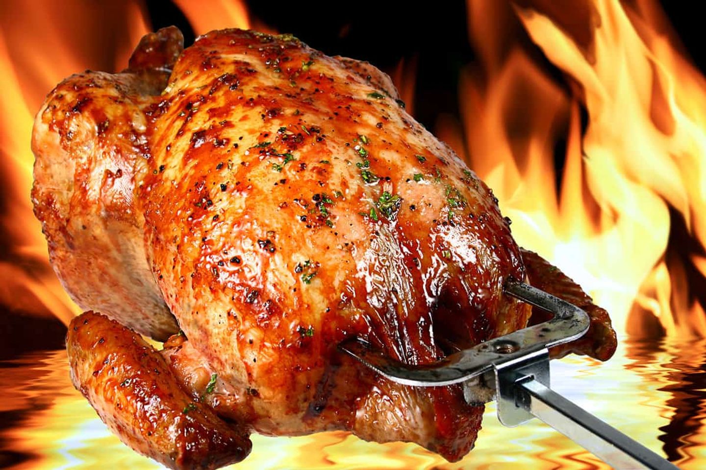 نص دجاج شواية سادة بدون رز
