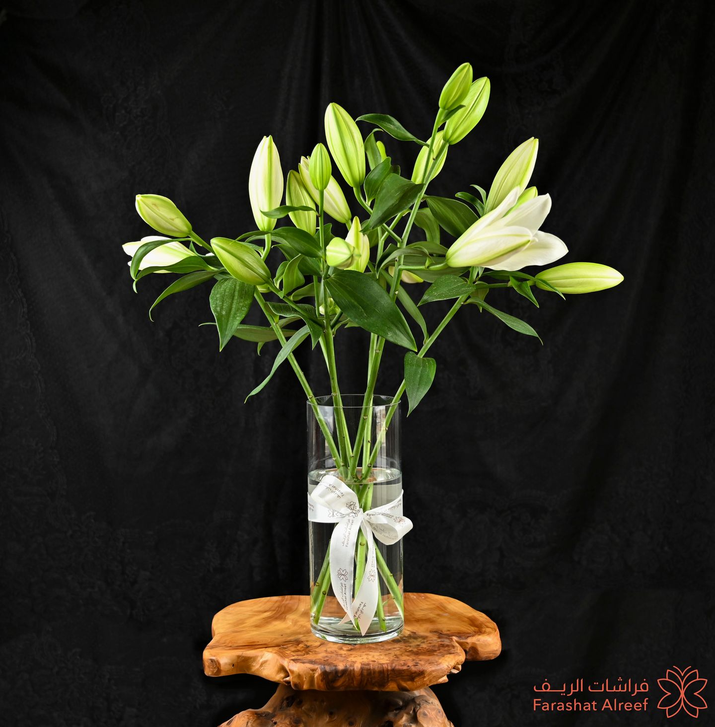 Cacablanca Vase