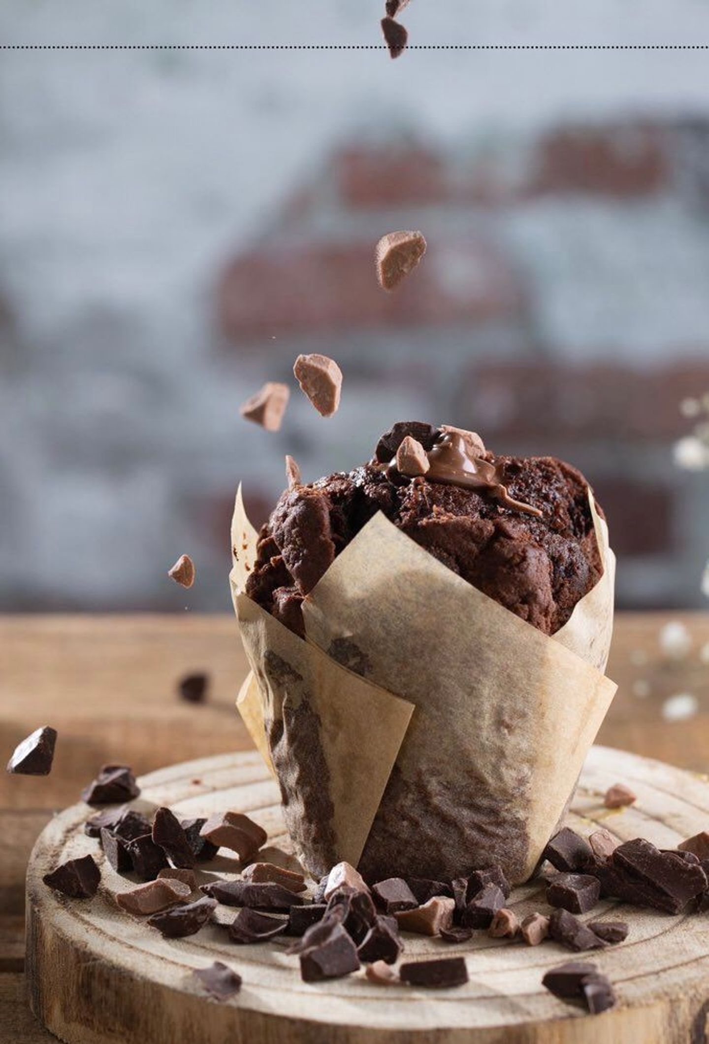 Chocolate Muffin