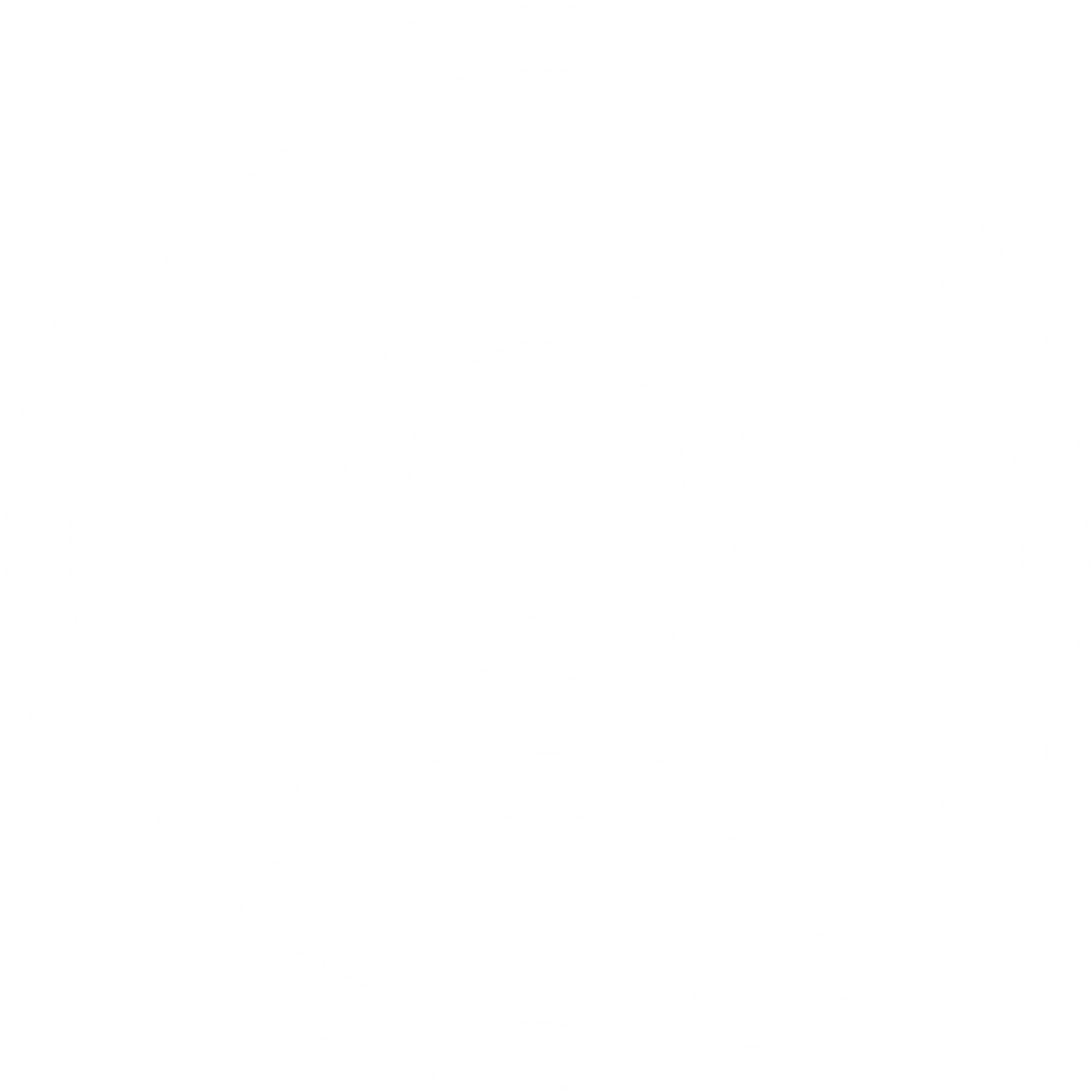 قطعة لحم انجوس مشوي