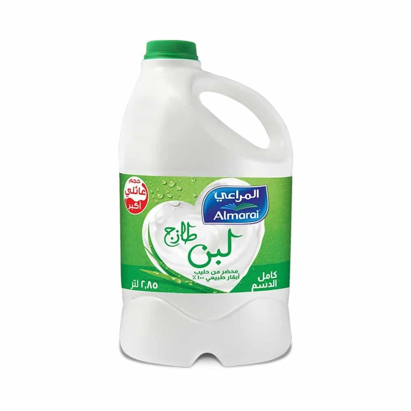 لبن كبير