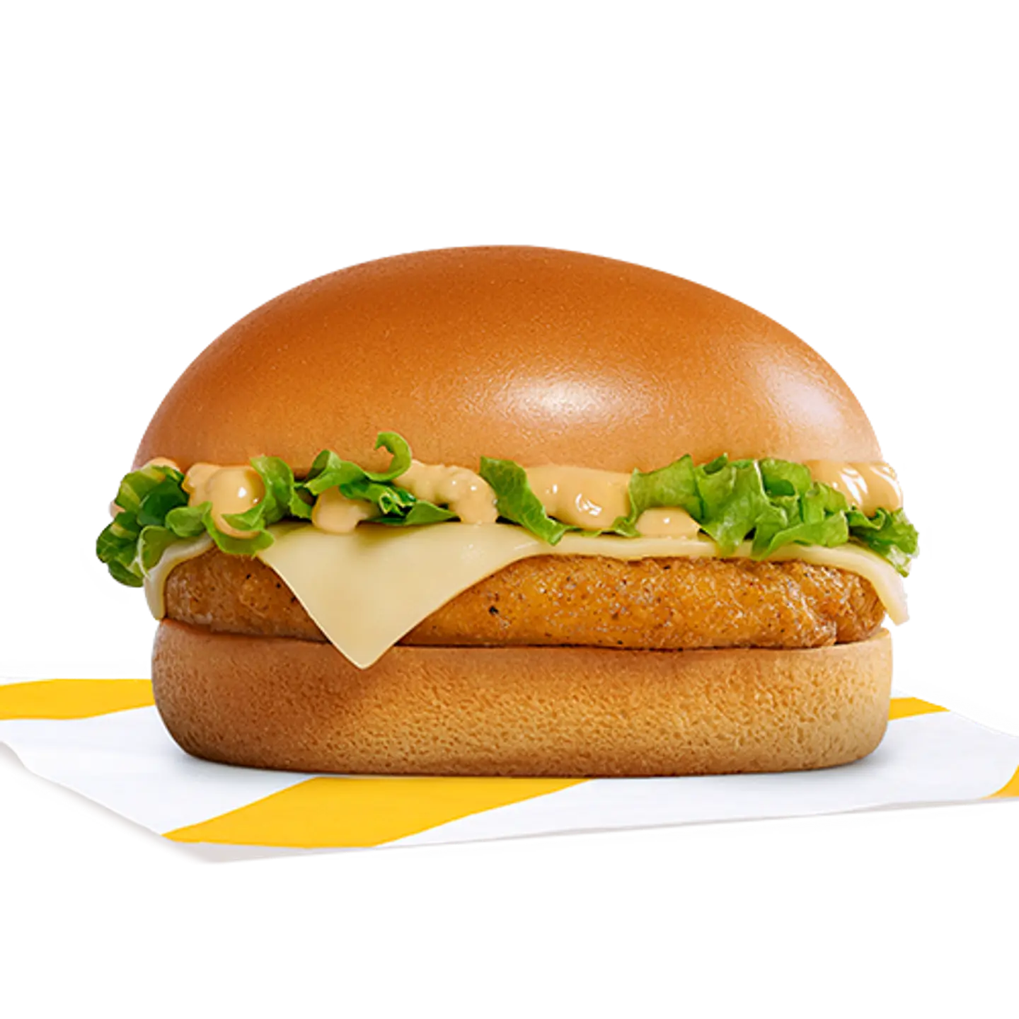 Tasty Chicken Burger