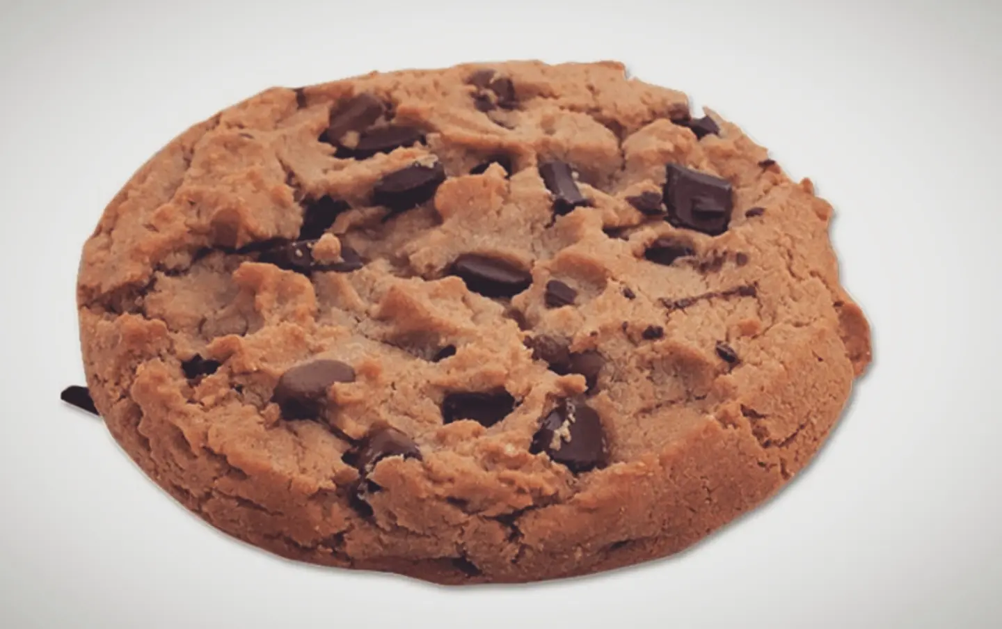 Double Chocolate Cookies