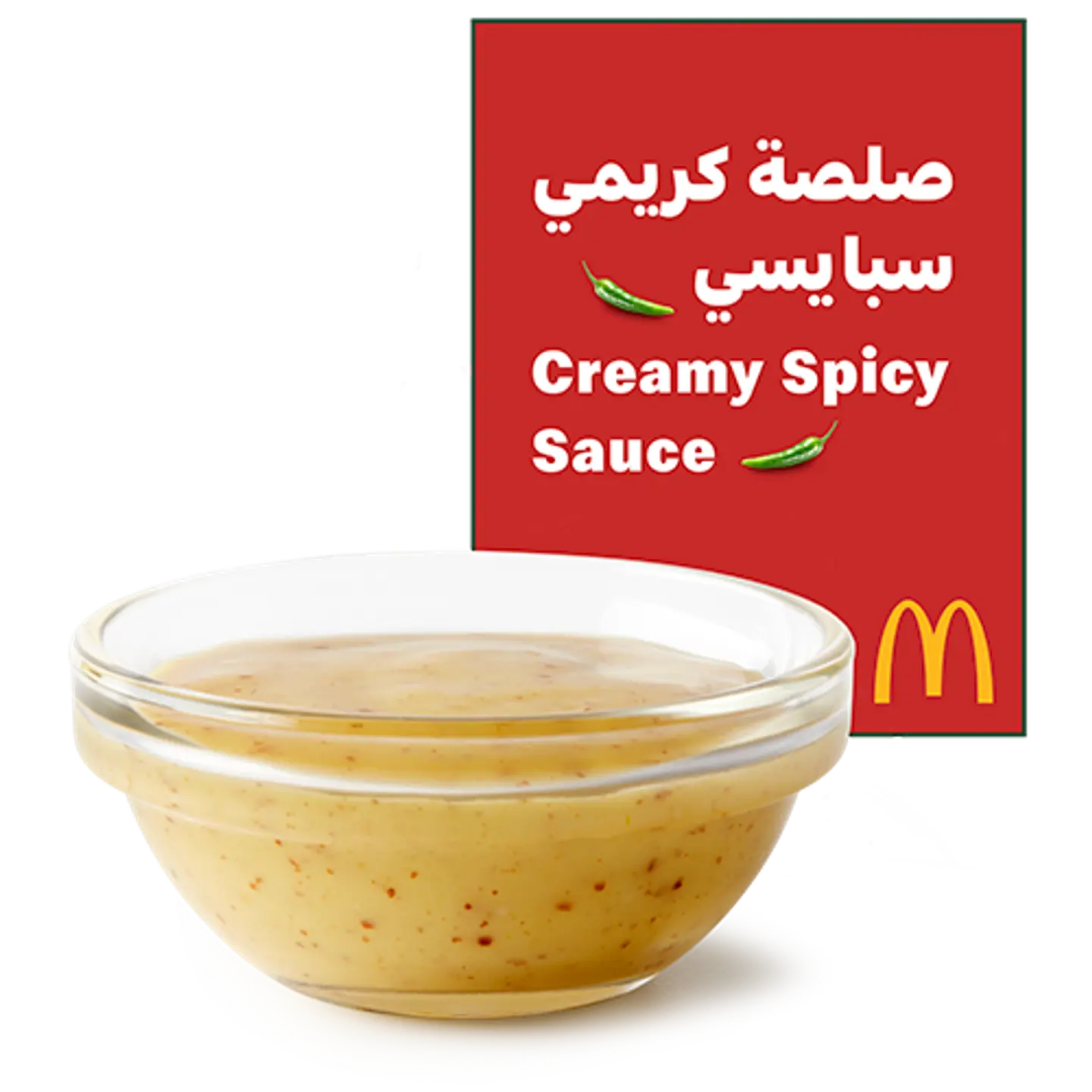 Creamy Spicy Sauce