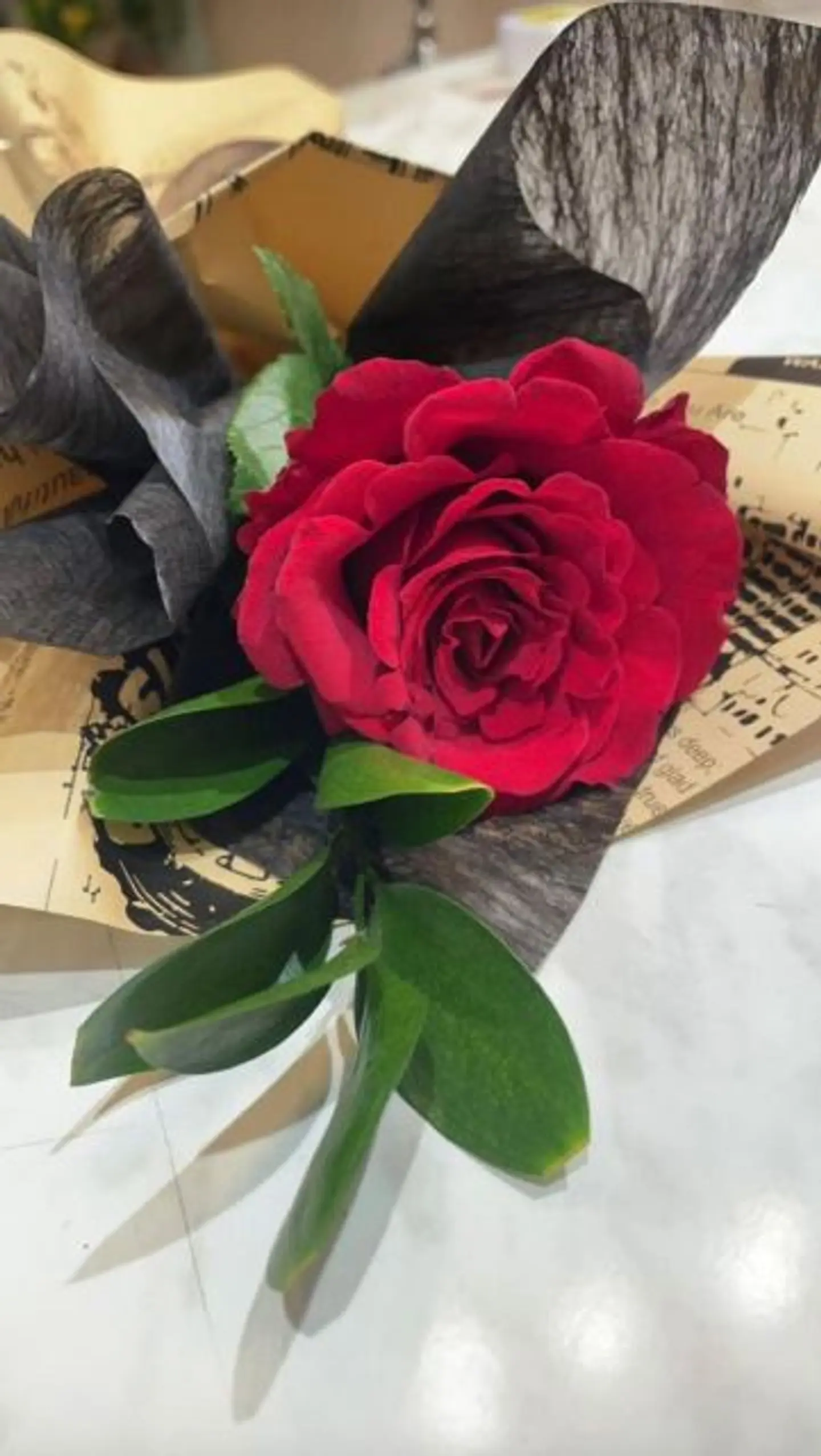 باقه ١٤