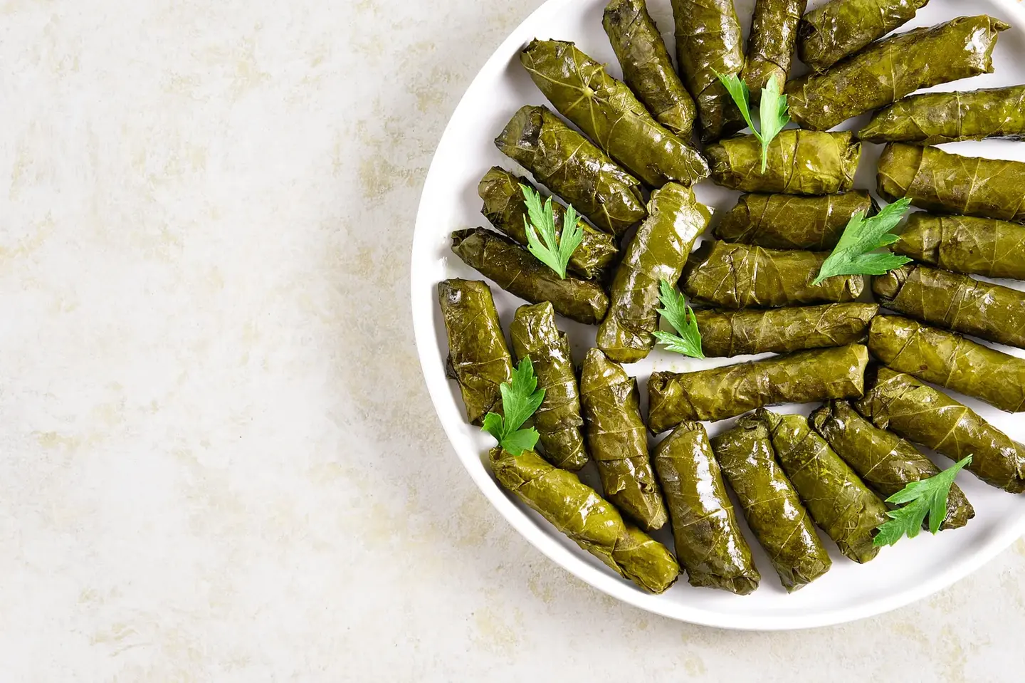 Stuffed With Grape Leaves For One Person