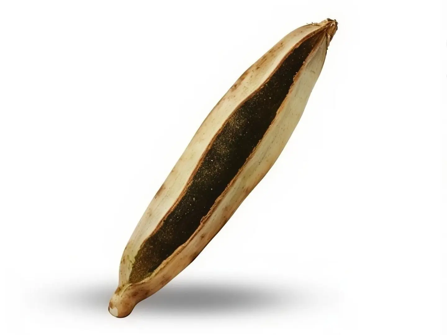 فطيرة زعتر