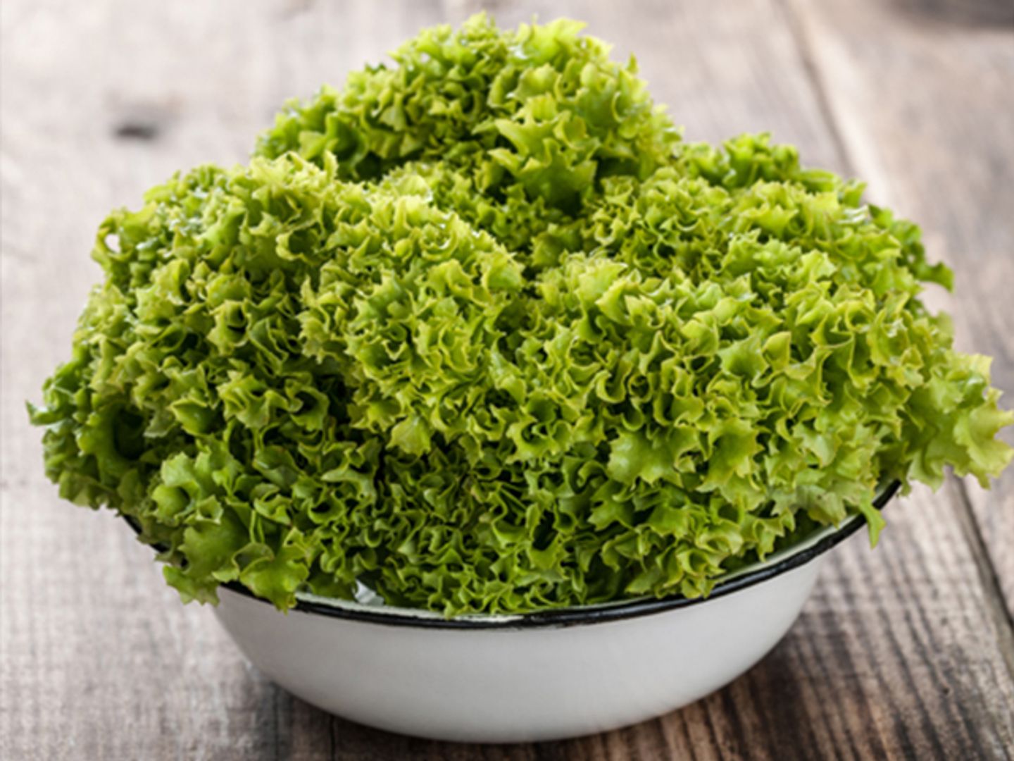 Lettuce - Small Lettuce