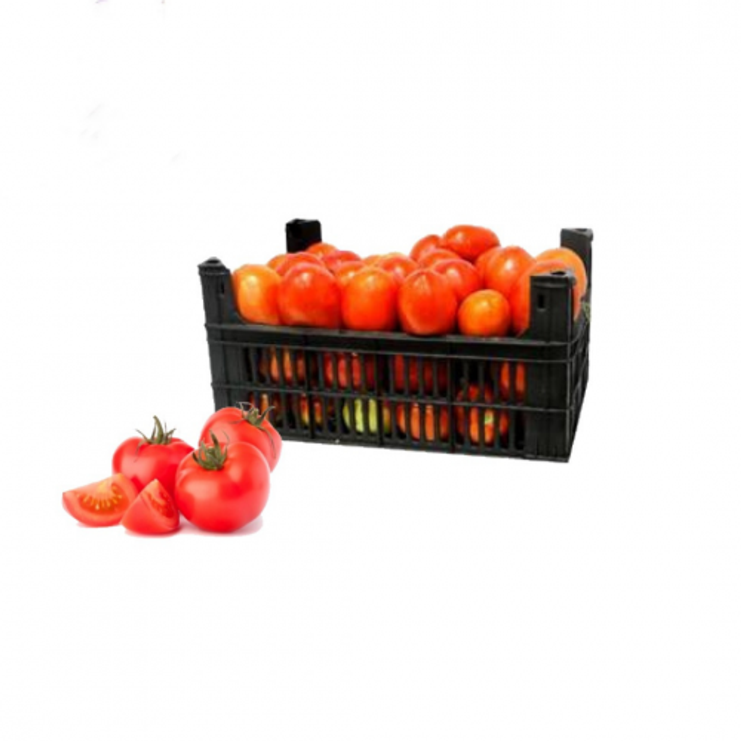 Round Tomato - Small Plastic