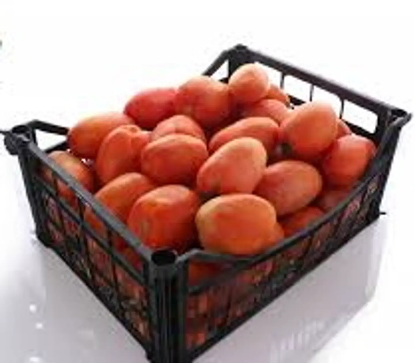 Fork Tomato - Big Plastic