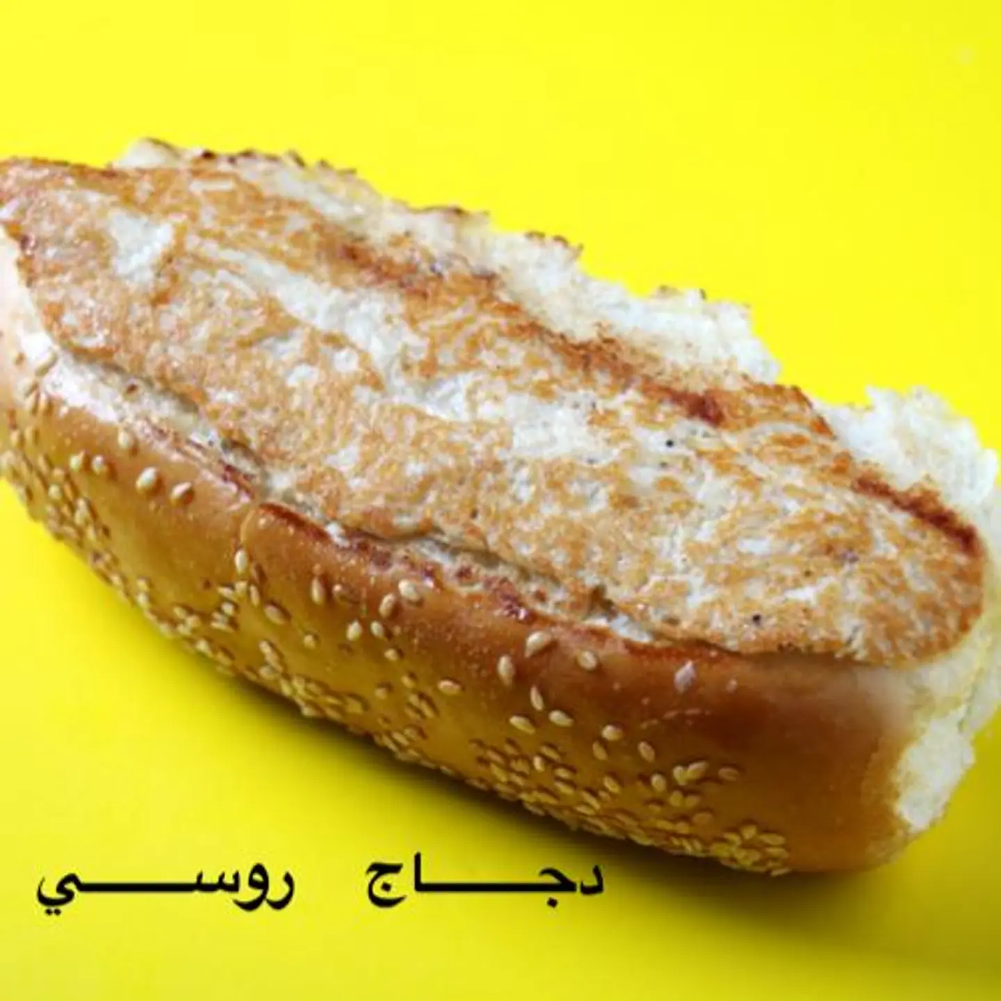 دجاج روسي بارد