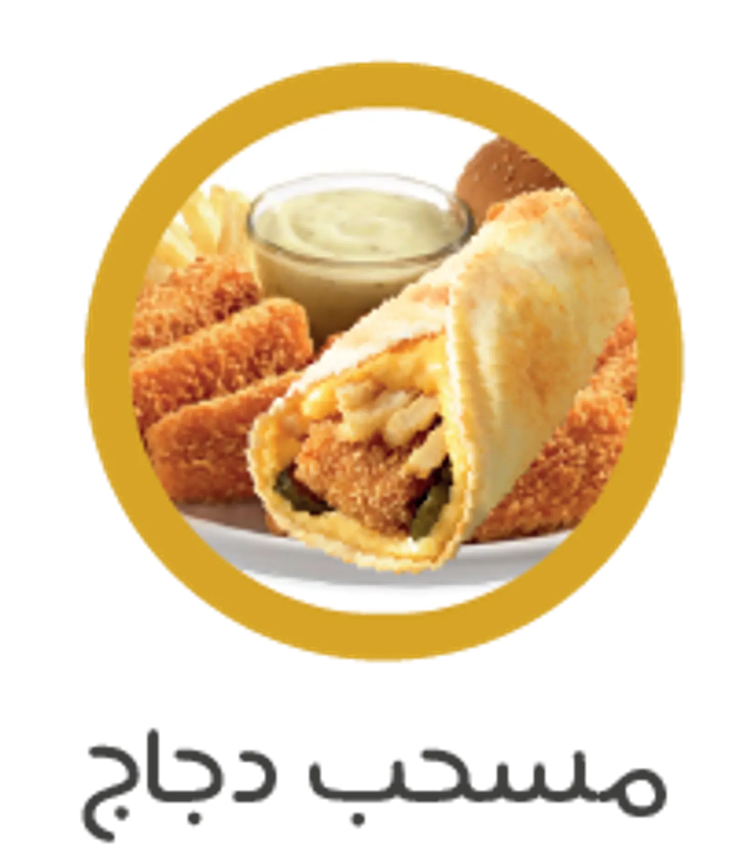 ساندوتش مسحب دجاج