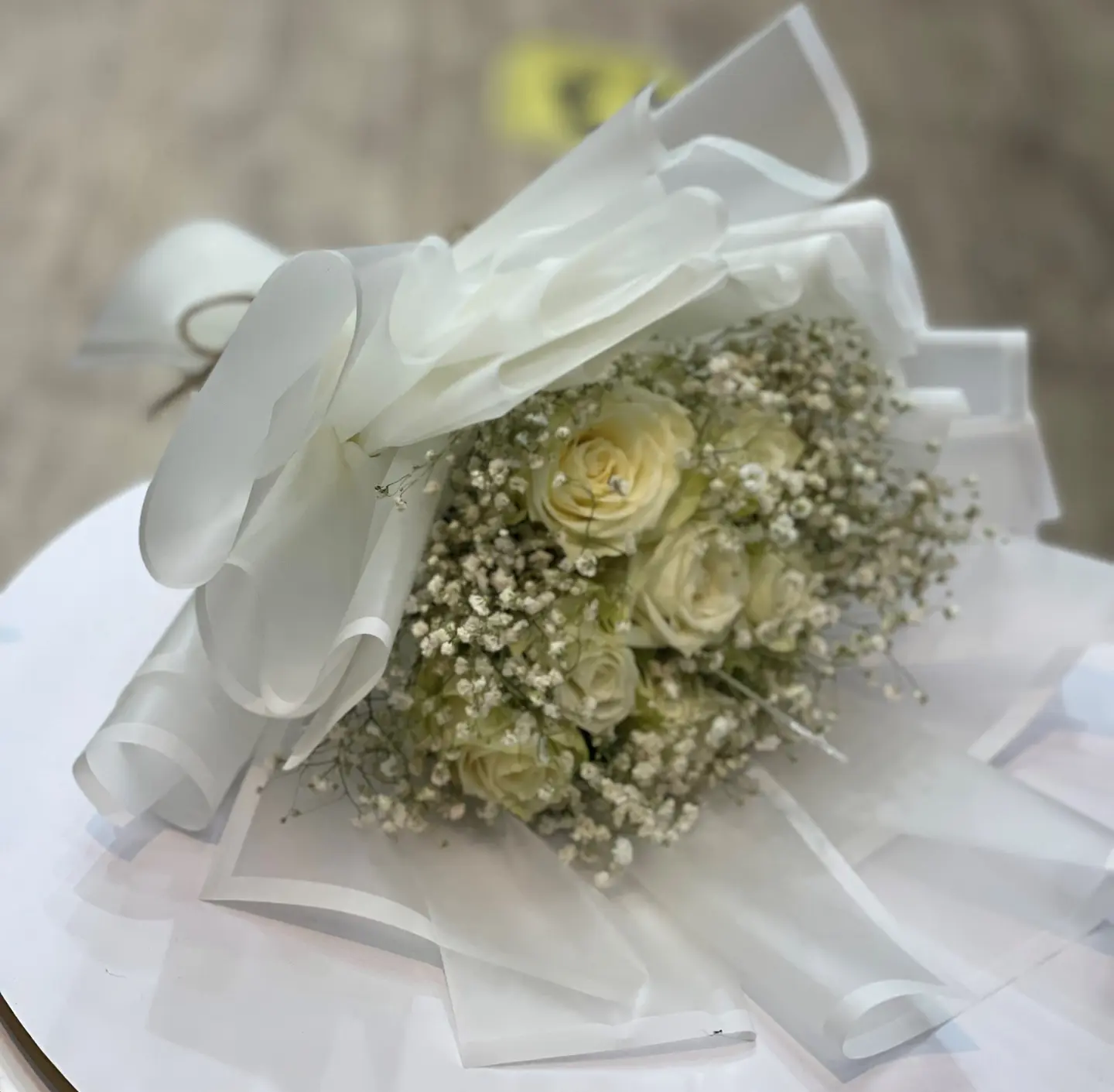 White And Gypsum Gorse